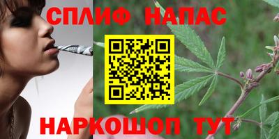 индика Коммунар