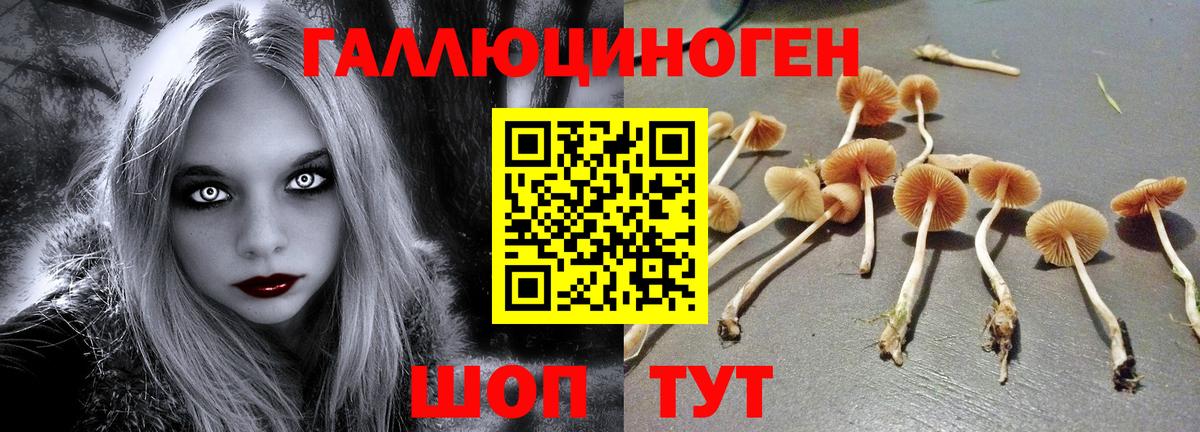 Галлюциногенные грибы мицелий  Вход с VPN  Бузулук  Псилоцибиновые грибы прущие грибы 