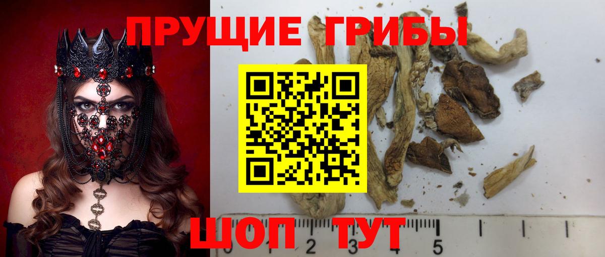 Псилоцибиновые грибы Magic Shrooms Бузулук